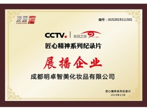 2019年荣获CCTV匠心精神系列纪录片《展播企业》